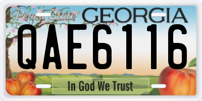 GA license plate QAE6116