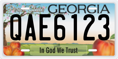 GA license plate QAE6123