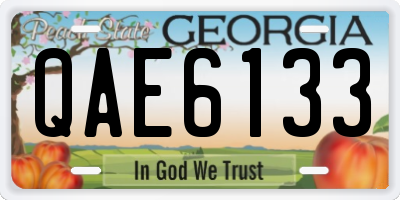 GA license plate QAE6133