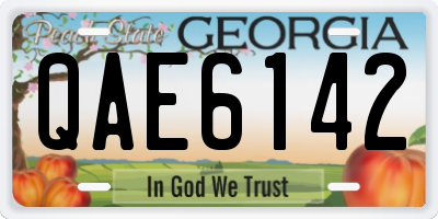 GA license plate QAE6142