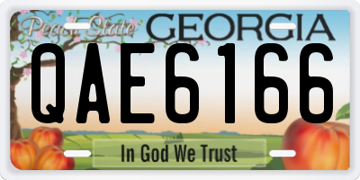 GA license plate QAE6166
