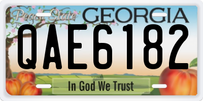 GA license plate QAE6182