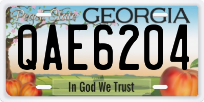 GA license plate QAE6204