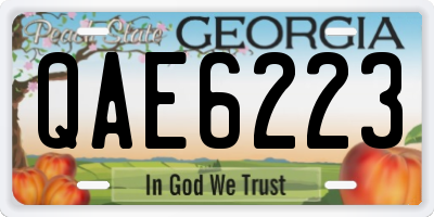 GA license plate QAE6223
