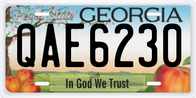 GA license plate QAE6230
