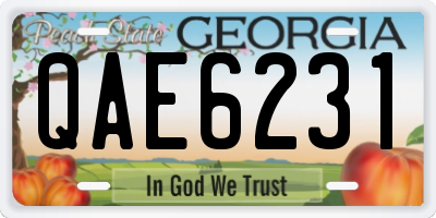 GA license plate QAE6231