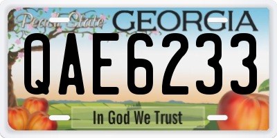 GA license plate QAE6233