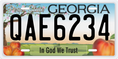 GA license plate QAE6234