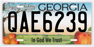 GA license plate QAE6239
