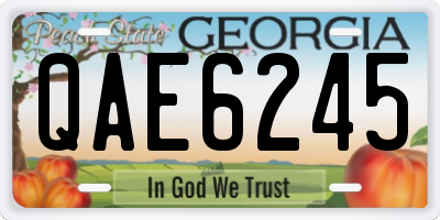 GA license plate QAE6245