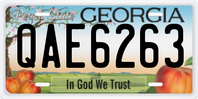 GA license plate QAE6263