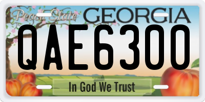 GA license plate QAE6300