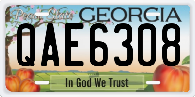 GA license plate QAE6308