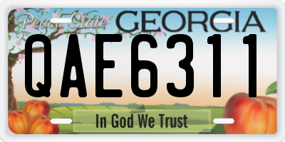 GA license plate QAE6311
