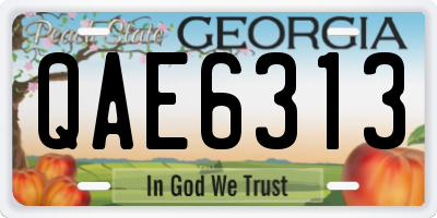 GA license plate QAE6313