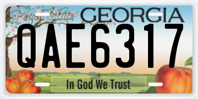 GA license plate QAE6317