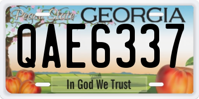 GA license plate QAE6337