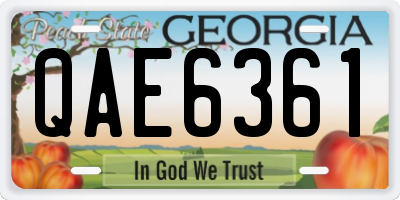 GA license plate QAE6361