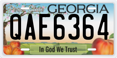 GA license plate QAE6364