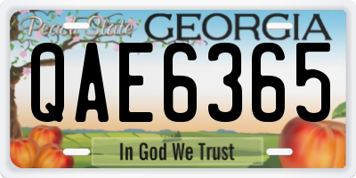 GA license plate QAE6365