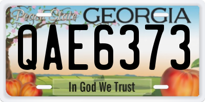 GA license plate QAE6373