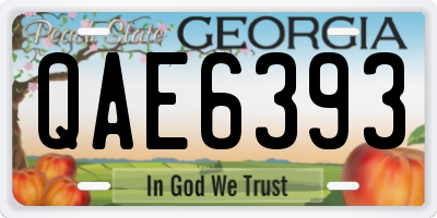 GA license plate QAE6393