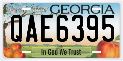 GA license plate QAE6395