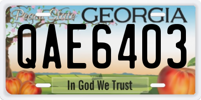 GA license plate QAE6403