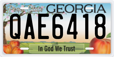 GA license plate QAE6418