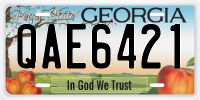 GA license plate QAE6421