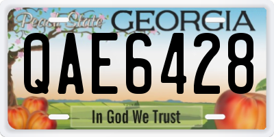 GA license plate QAE6428