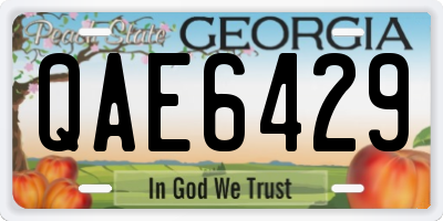 GA license plate QAE6429