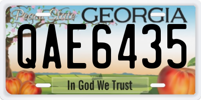 GA license plate QAE6435