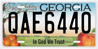 GA license plate QAE6440