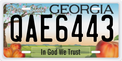 GA license plate QAE6443