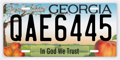 GA license plate QAE6445