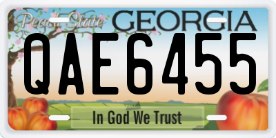 GA license plate QAE6455