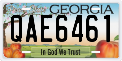 GA license plate QAE6461