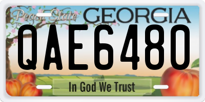 GA license plate QAE6480