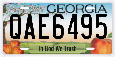 GA license plate QAE6495