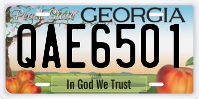 GA license plate QAE6501