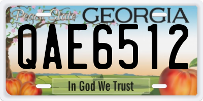 GA license plate QAE6512