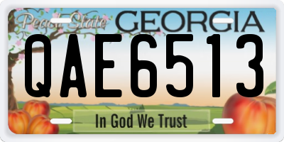 GA license plate QAE6513