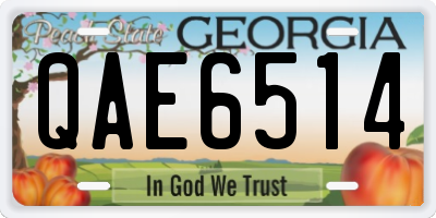 GA license plate QAE6514