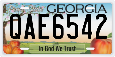 GA license plate QAE6542