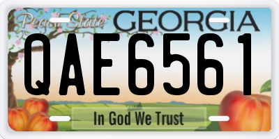 GA license plate QAE6561