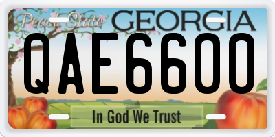 GA license plate QAE6600