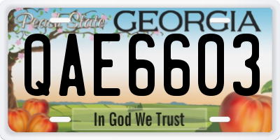 GA license plate QAE6603