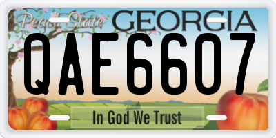 GA license plate QAE6607