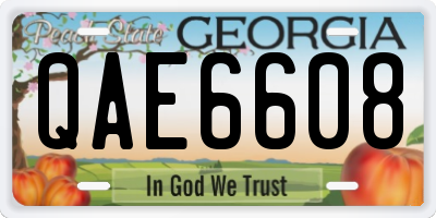 GA license plate QAE6608